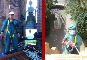 Photo n°4 de Stop Guêpes & Frelons à Lannemezan (Service d'extermination des nuisibles)