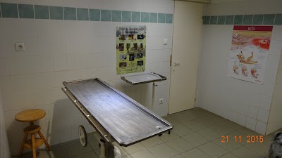 Photos of Dr. Sebesztha L&aacute;szl&oacute; Veterinary Surgery