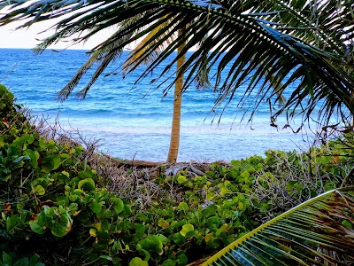 Photos of Leeward Cove Condominiums