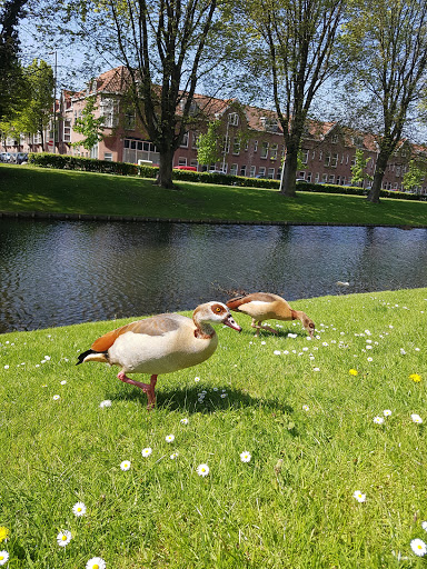 Hillevliet - Thumbnail
