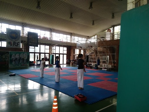 Club Mercantil Instituto Del Taekwondo Argentino, Author: Julio Niveyro