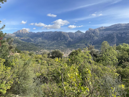 More of Mallorca