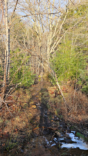 Bridgewater Centennial Trail parking - Thumbnail
