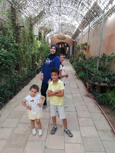 Photos of Smile Factory Agadir