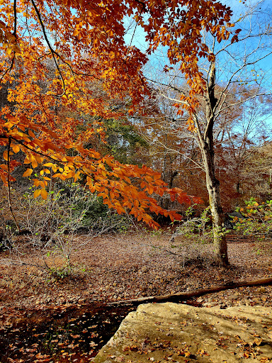 Sentry Bluff Trailhead - Thumbnail