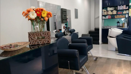 Emotions Hairdresser & Barber Logo