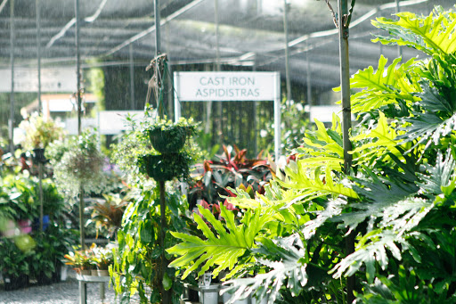 Bamboo Down Under Retail Garden Centre - Thumbnail