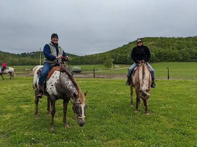 The Spotted Horse Ranch