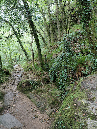 Gorges Stangala - Thumbnail
