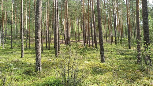 Hiking trail of the Piusa River