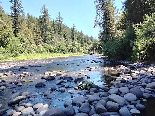 Feyrer Park