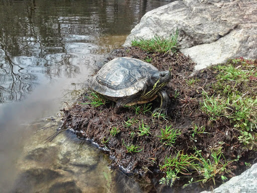 Greater Oconee County Chamber of Commerce - Thumbnail