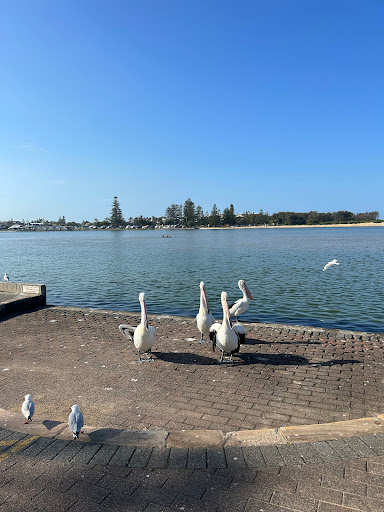 The Entrance Waterfront Playground
