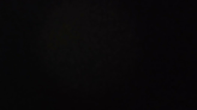 Ms Dhamaka Food Factory by null