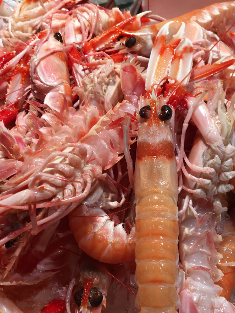 Pescaderia Online - Pescado Fresco y Mariscos Algeciras