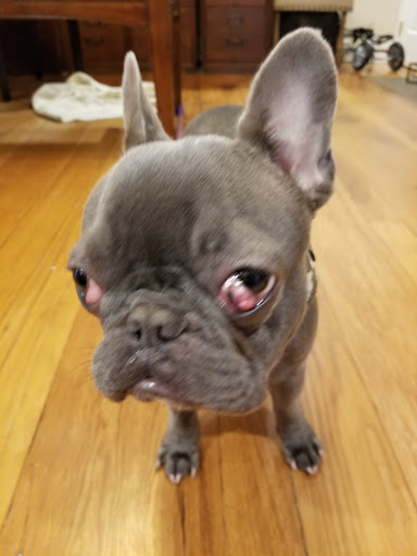 North Wilton Animal Hospital - Thumbnail