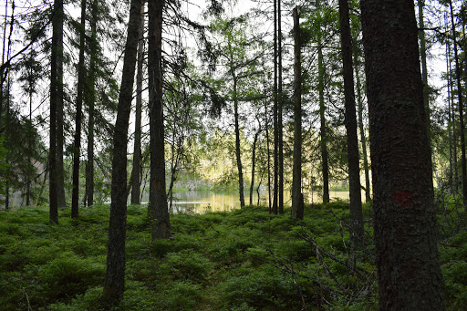 Skarsdalen