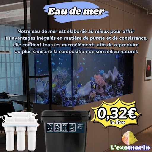 Lexomarin - Visual
