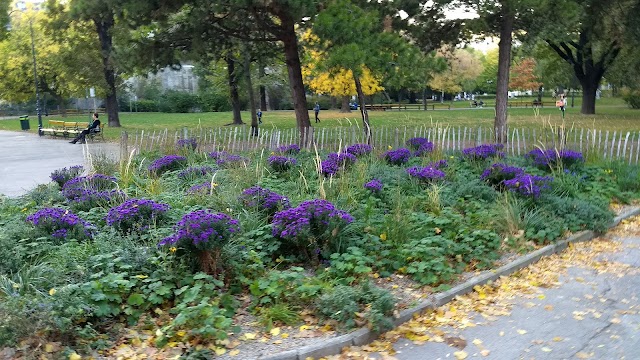 Arenbergpark