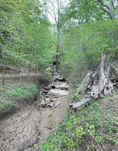 Buzzard Roost Recreation Area