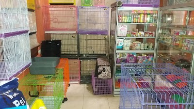 Pet Store