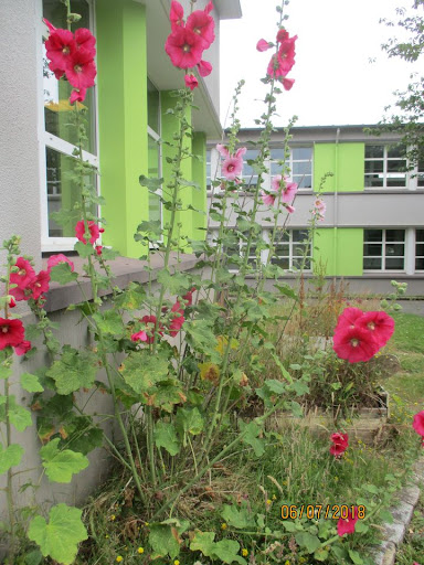 École Quéliverzan - Thumbnail