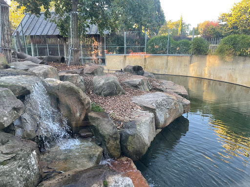 City Park Reserve Forces Statue - Thumbnail