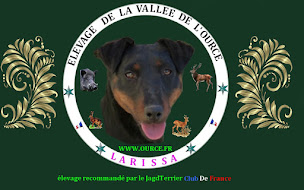 Photo n°19 de élevage de la vallée de l'Ource à Touillon (Éleveur de chiens)