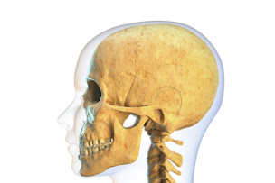 Photo n°1 de Centre Toulousain de la Face (Dr Emilie LHERMUSIER) à Quint-Fonsegrives (Chirurgien plasticien)