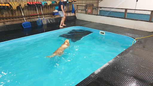 Splash Hounds - Visual
