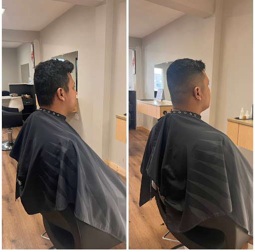 Salon 377 - Visual