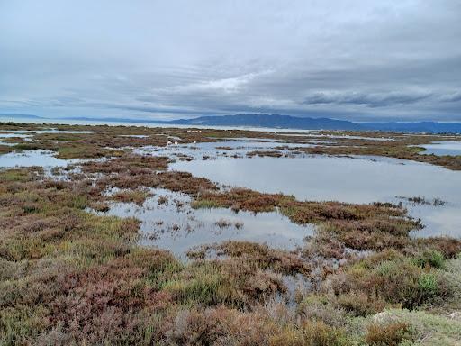 Punta del Fangar - Thumbnail