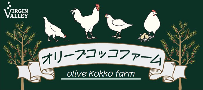 オリーブコッコファーム Olive GLAMP淡路島 Virgin Valley（オリーブグランプ淡路島バージンバレー）