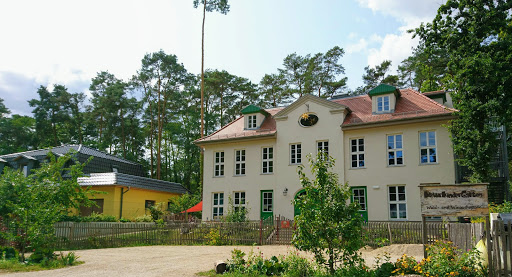 Naturkindergarten Wald- und Wiesenhopser