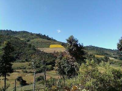Photos of Htee Thein ( Upper Monastery )