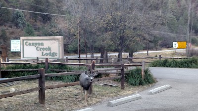 Canyon Creek Lodge