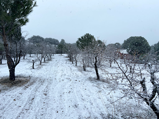 Bola Park - Thumbnail