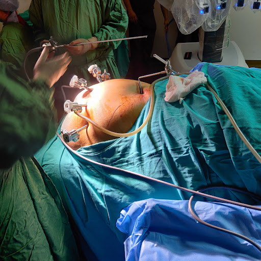 Gallery image 617