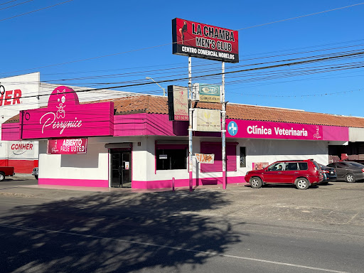 Perrynice Clinica Veterinaria Gallery - United States