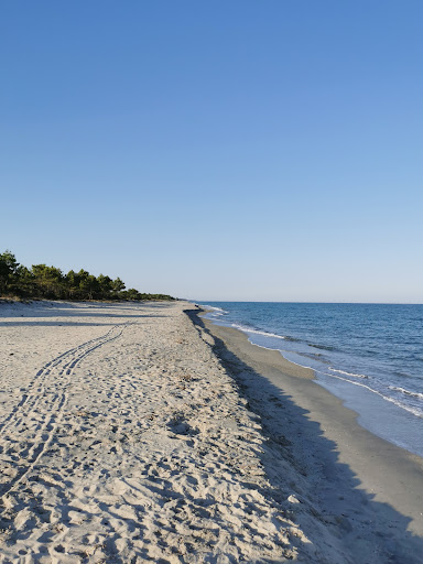Plage de Pinia Gallery - France