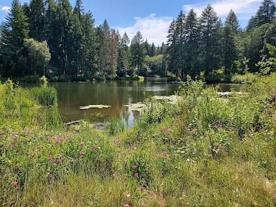 Camp Whispering Winds