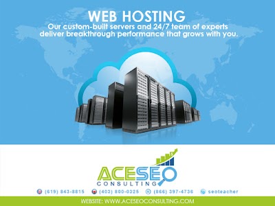 Ace SEO Consulting