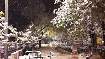 Photos of Mina Park