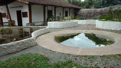 Photos of Quindio Botanical Garden - Butterfly