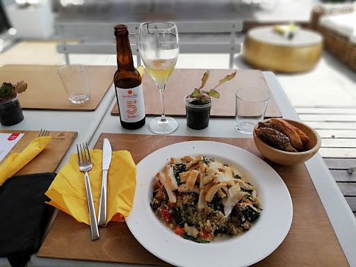 Synbiofood - Visual