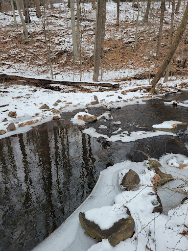 India Brook Natural Area - Thumbnail