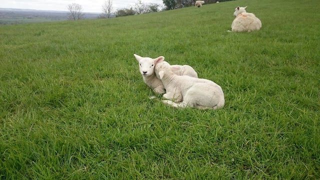 Glastonbury Tor