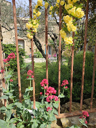 Photo n°29 de La Ferme de la Commanderie à Richerenches (Maison d'hôtes)
