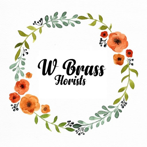 W Brass - Visual