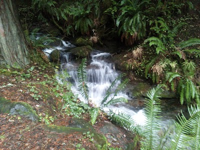 Parker Creek Falls